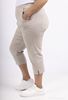 Picture of CURVY GIRL STRETCH SMART THREE QUARTER TROUSER CROPS